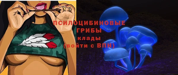 каннабис Новозыбков
