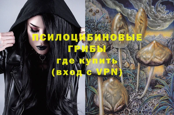 эйфоретик Новодвинск