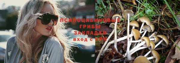 каннабис Новозыбков