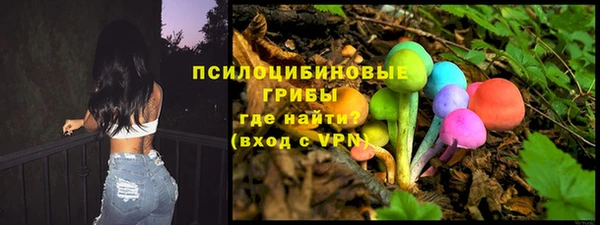 каннабис Новозыбков