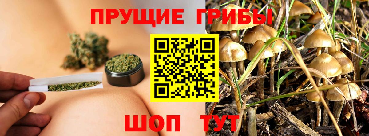 где найти наркотики  Галлюциногенные грибы мицелий  Псилоцибиновые грибы MAGIC MUSHROOMS  Вход с VPN  Сарапул 